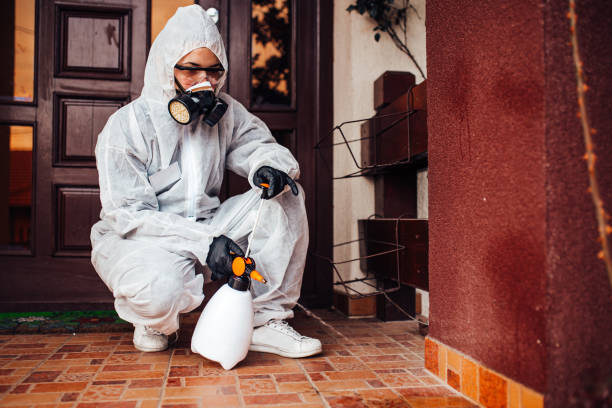 Reliable Mosquito Control contractor in Pinecrest, FL by Show Me Pest Control